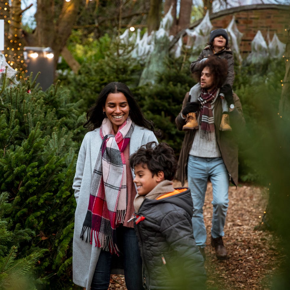 a family at a christmas tree farm