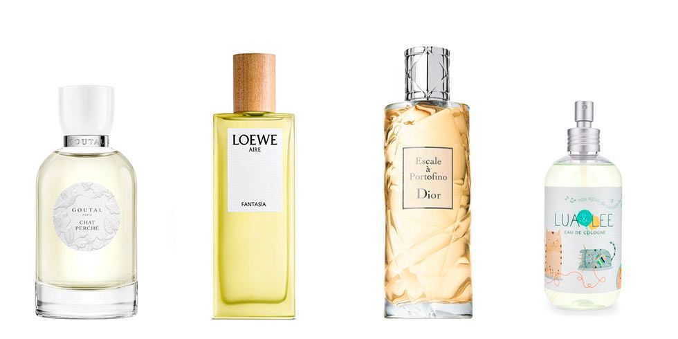 Perfumes con olor a bergamota: las mejores fragancias para hombre