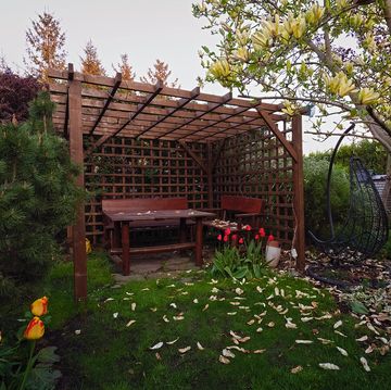 pergola ideas with wood dining set in an autumn garden