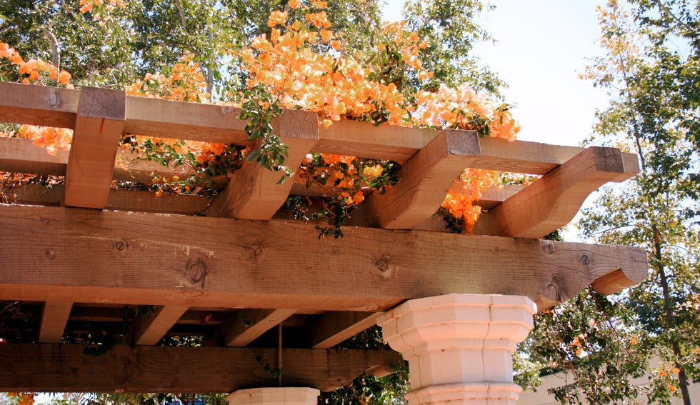 pergola ideas for gardens