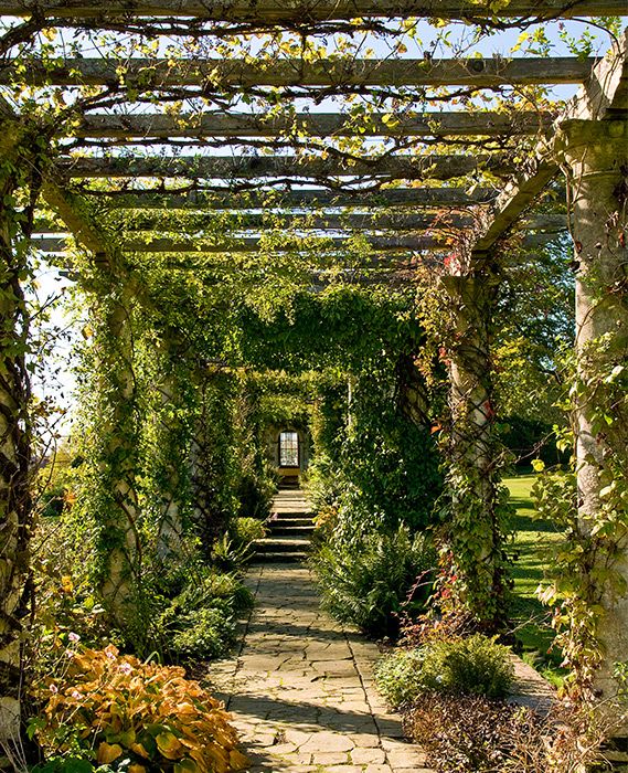 pergola ideas walkway through a garden