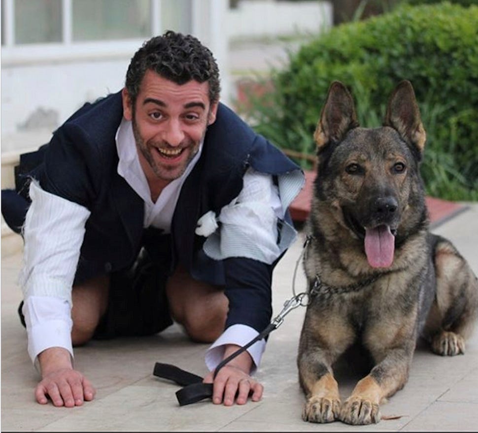 daghan kulegeç perros