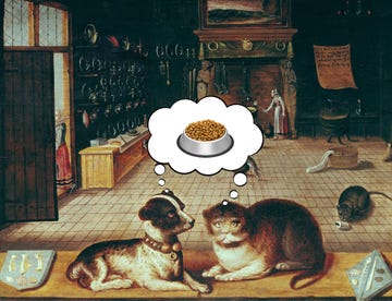 Dogs and cats in a kitchen contemplating food