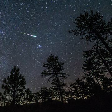 2016 perseid meteor fireball streaks above pine trees