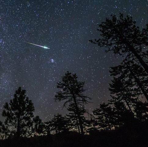 2016 perseid meteor fireball streaks above pine trees