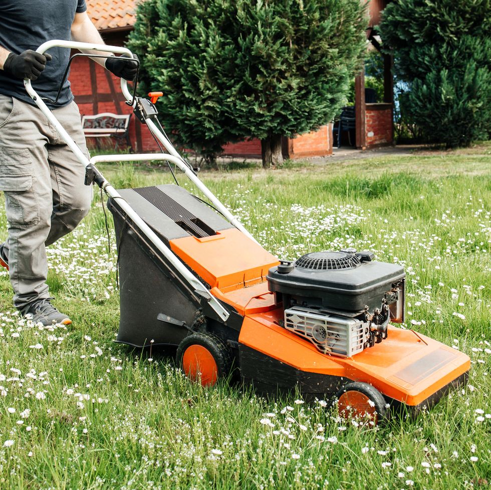 a man mows the grass with an electric lawn mower hardworking owner takes care of his lawn