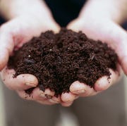 Person holding handfull of soil Person holding handfull of soil