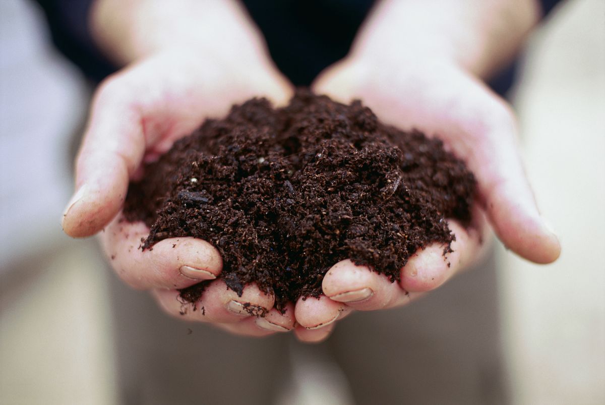 Person holding handfull of soil
