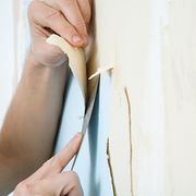 Person removing wallpaper
