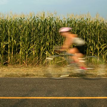 Person riding bicycle past corn field (blurred motion)
