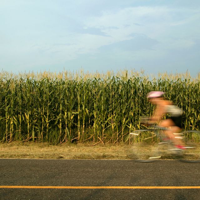 Person riding bicycle past corn field (blurred motion)
