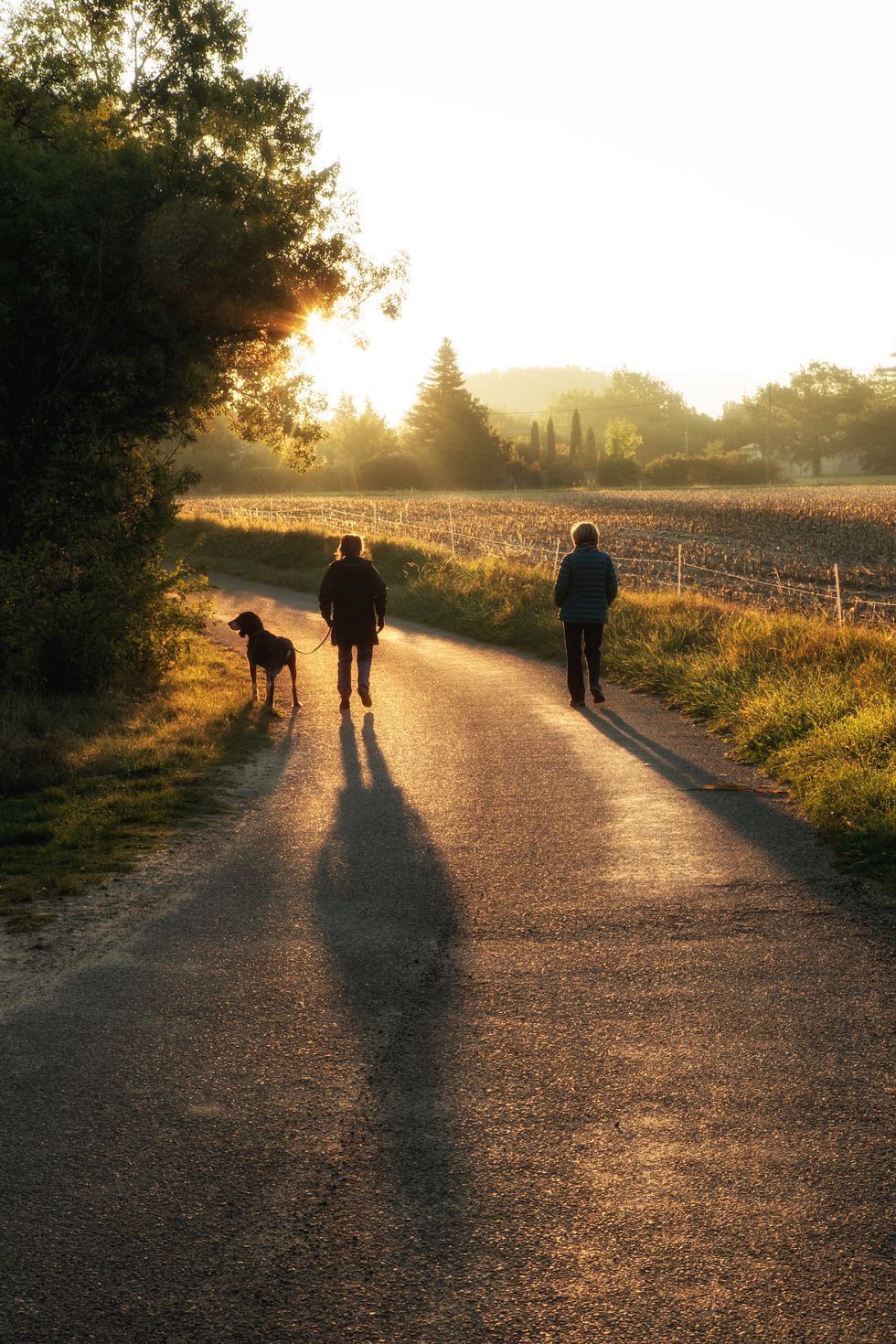 two women walking a dog at sunrise
