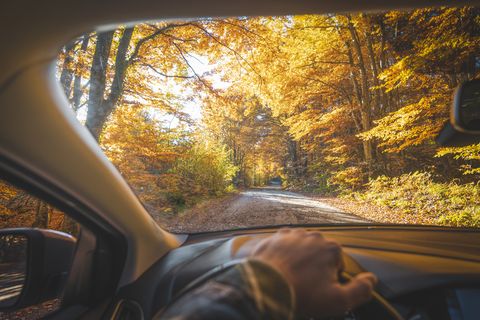 personal perspective of man driving among a lush forest in autumn