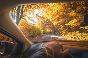 personal perspective of man driving among a lush forest in autumn