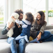 pet-adoption-websites pet adoption websites