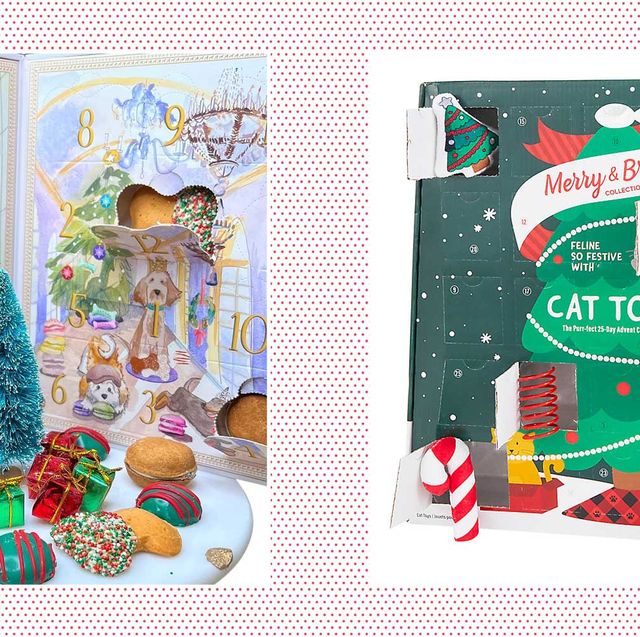 Littlest Pet Shop Advent Calendar Toy, Ages 4 and Up  