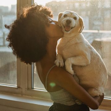 a person holding a dog, best air purifiers for pets