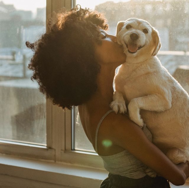 Best Air Purifiers for Pets 2024: Reduce Pet Dander, Pet Hair, Odors