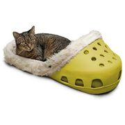 pet bed crocs