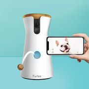 best pet cameras to check in on your furry friends