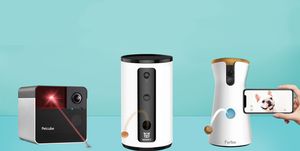 best pet cameras to check in on your furry friends