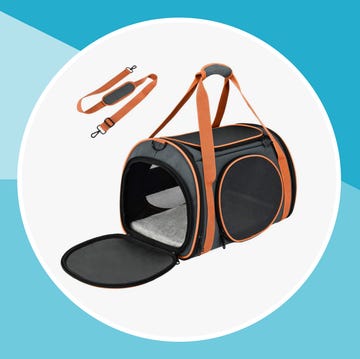 pet carriers pet carriers