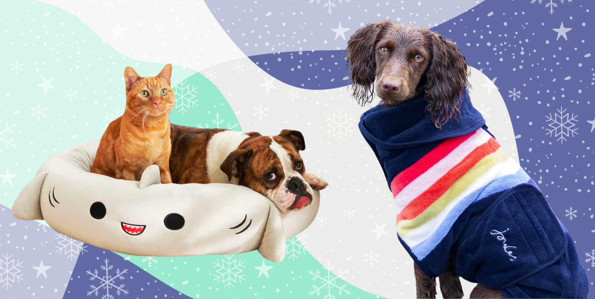 Pet Christmas gift guide: The best festive presents, outfits and meals for  dogs, and cats