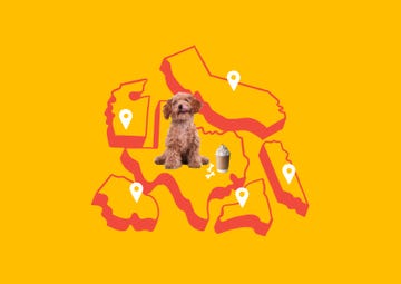map and pet