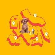 map and pet map and pet