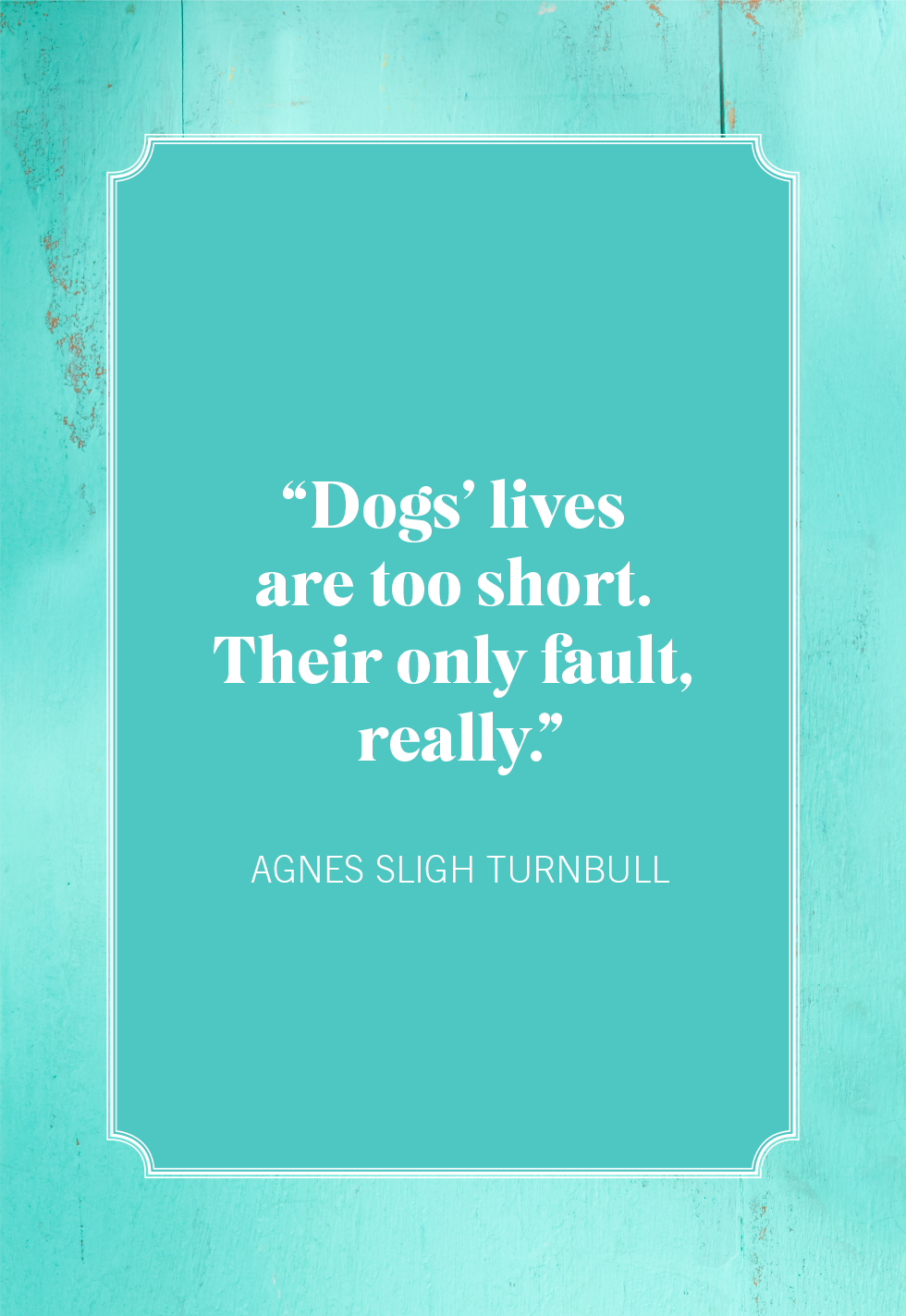 20 Pet Loss Quotes to Bring You Comfort