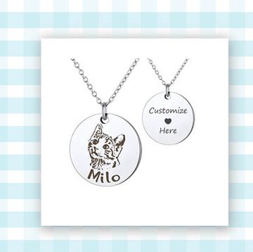 pet necklace and memorial framed photo