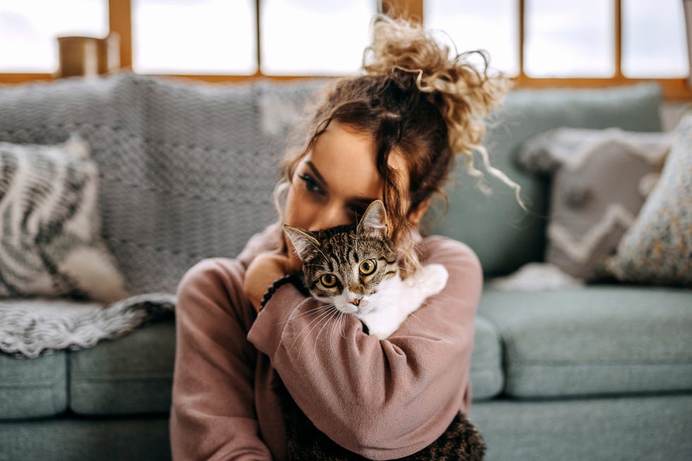 pet prenup