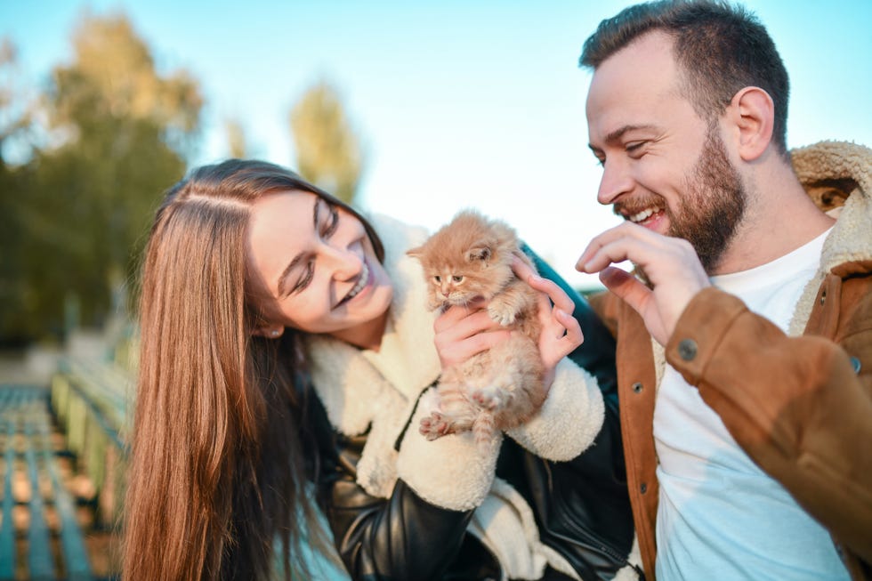 pet prenup