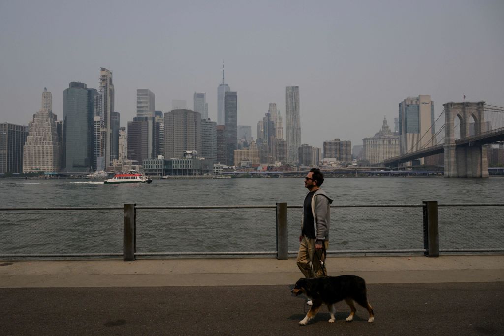 man walking his dog during poor air quality