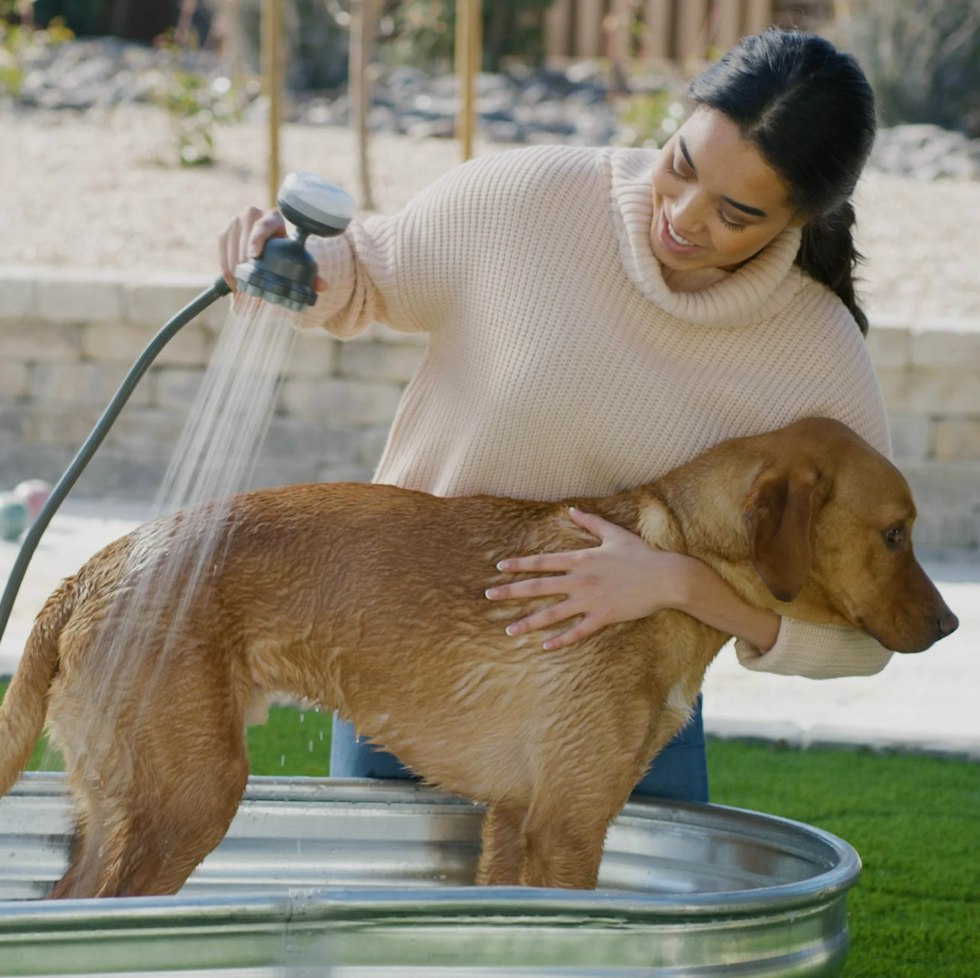 Dog wash shops hose attachment