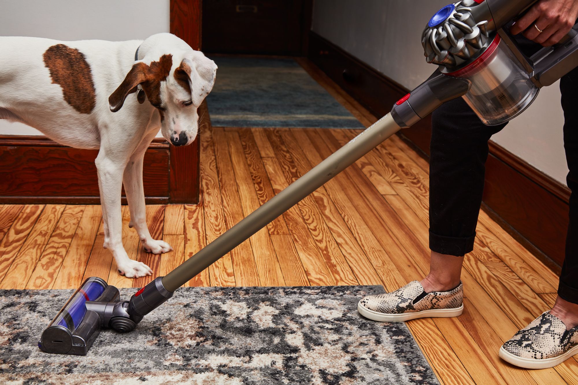 Best handheld vacuums for pet hair 2023 Tackle the spots a stick vacuum  cant reach  Mashable