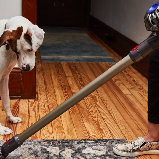 This popular Dyson vacuum is great for pet owners—and it's on sale