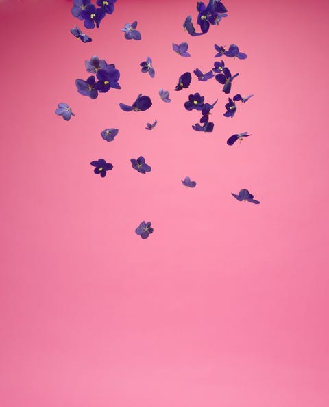 petals falling