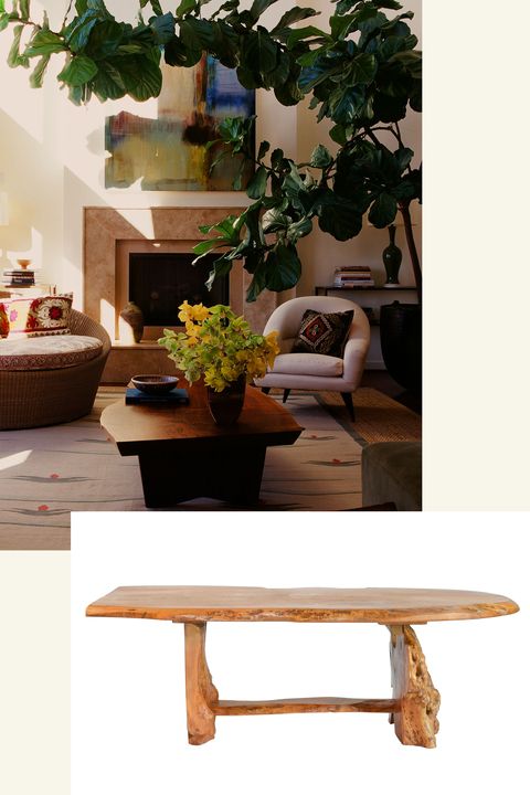 Furniture, Table, Coffee table, Houseplant, Room, Interior design, Tree, Shelf, Branch, Plant, 