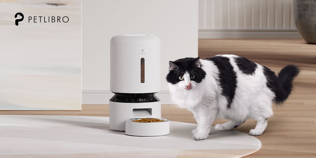 Argos cat feeder hotsell