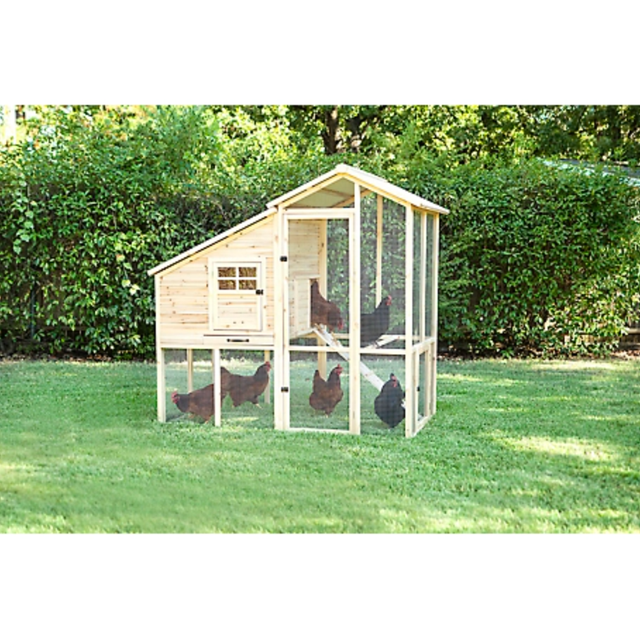 11 Best Chicken Coops To Buy