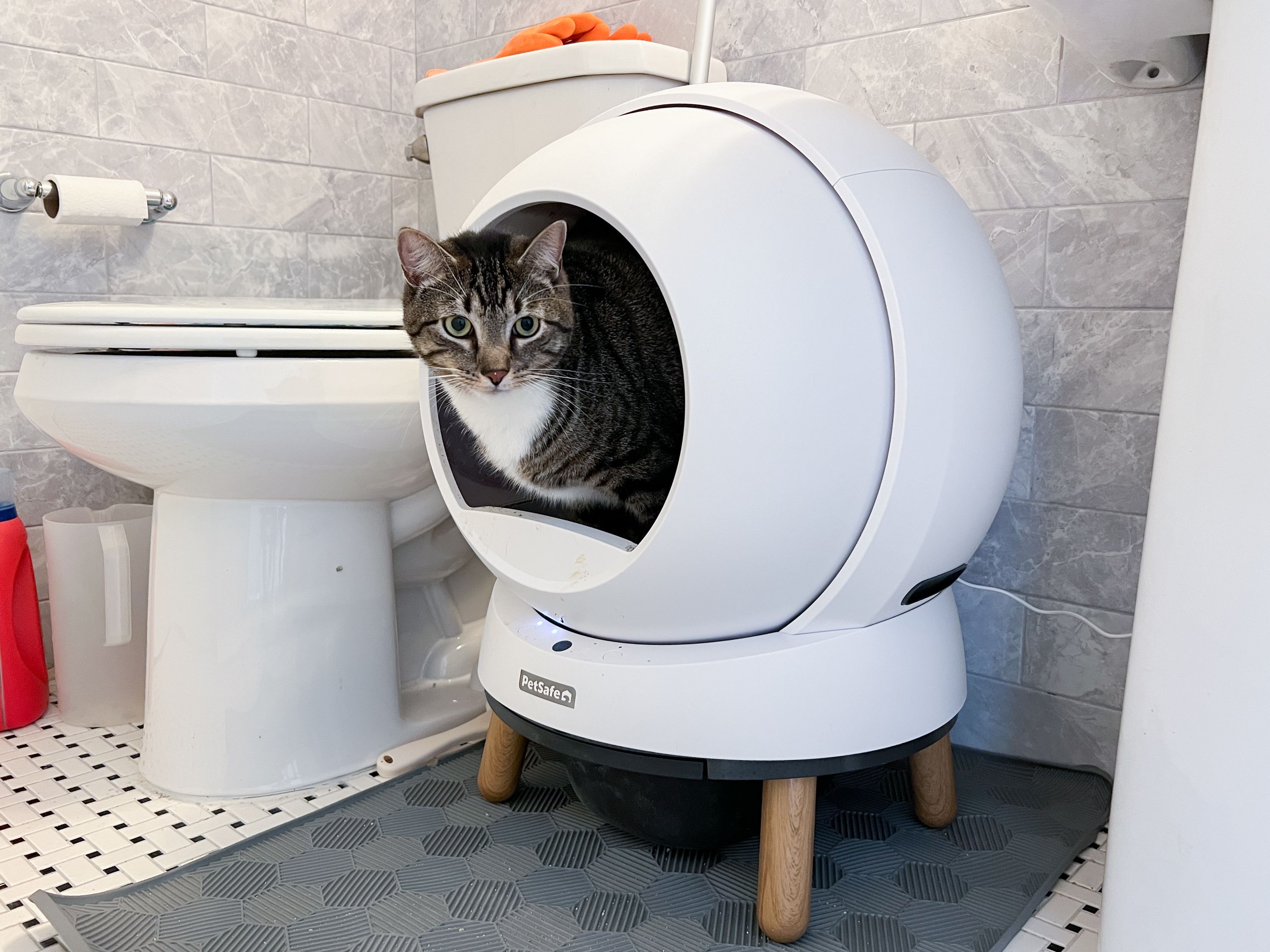 The 5 Best Self Cleaning Litter Boxes in 2025 According to Testing and Research