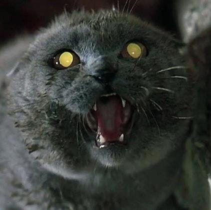 pet sematary pet sematary