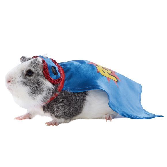 PetSmart's Guinea Pig Halloween Costumes 2019