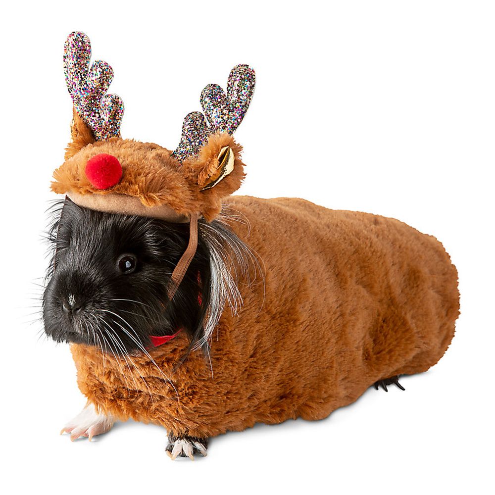 petsmart merry  bright guinea pig christmas costume