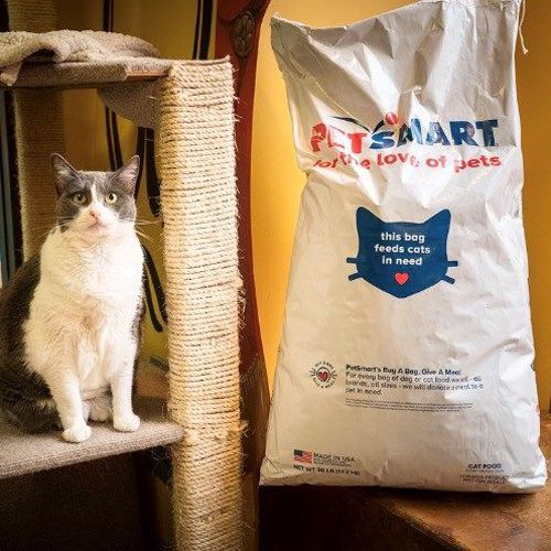 Petsmart clearance food delivery