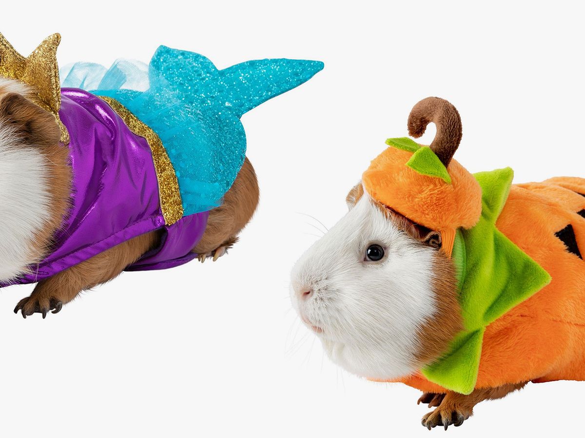 Petsmart's Dog Halloween Costume Collection Includes Everything