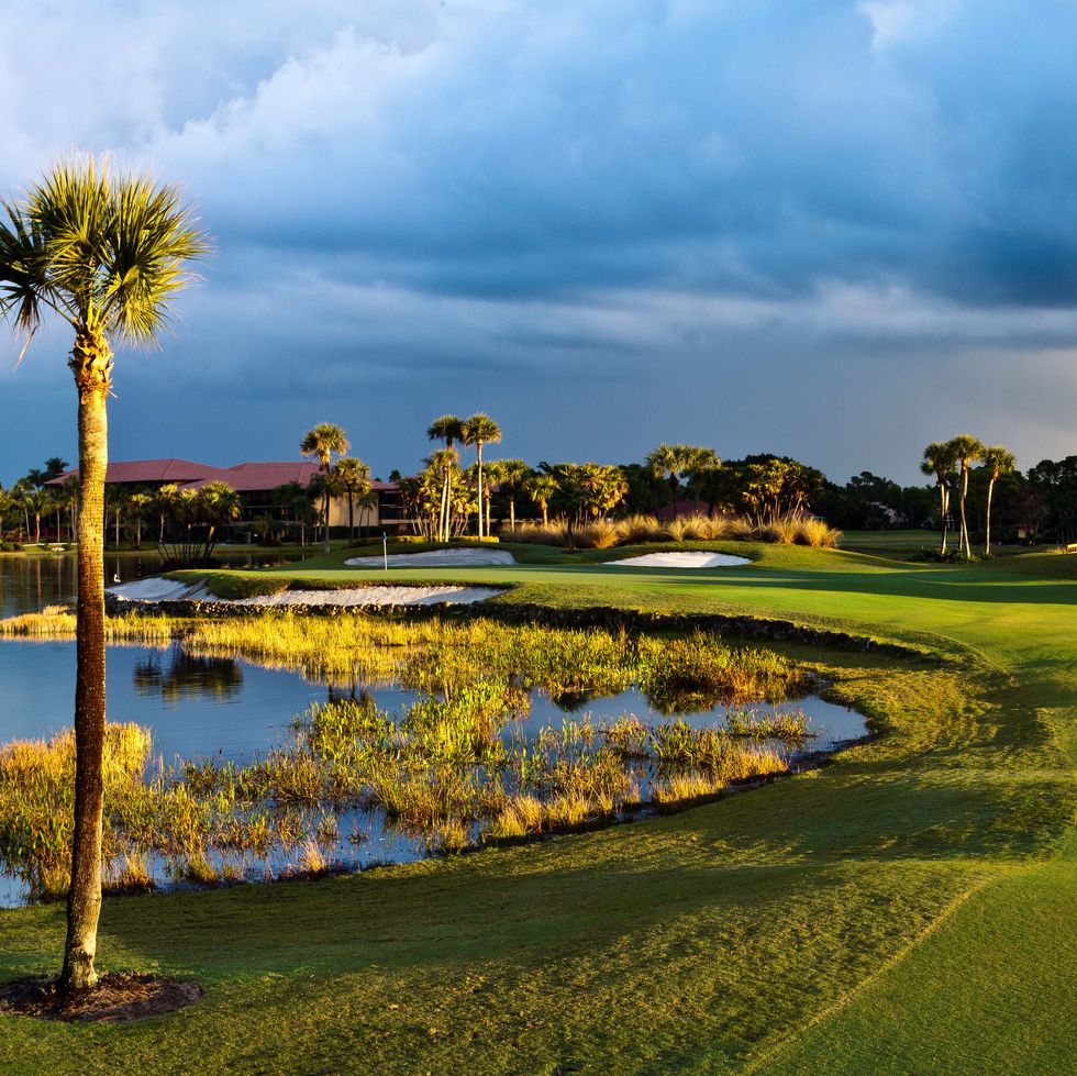 best golf courses florida pga national resort the palmer