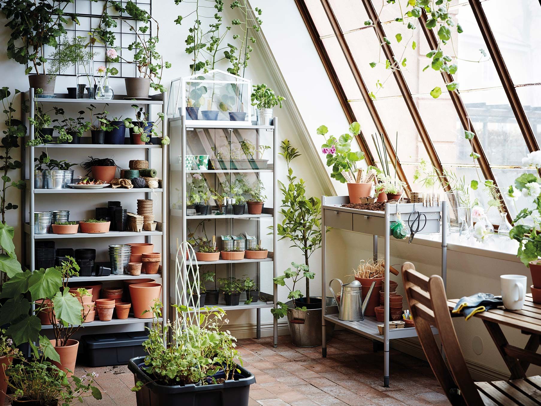 Cómo transformar tu terraza en un invernadero