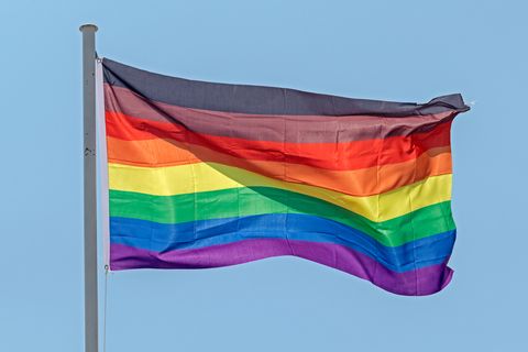philadelphia new 8 stripes black  brown gay pride flag